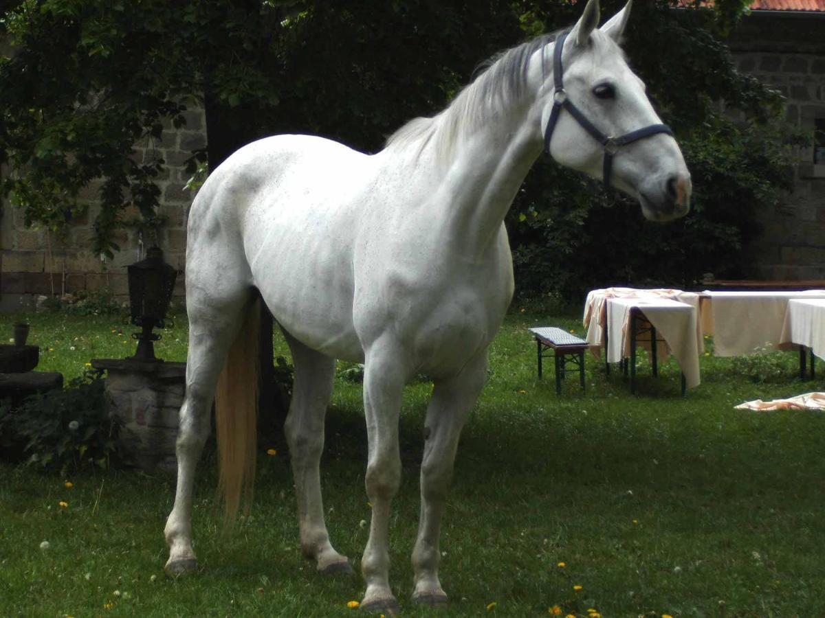 Appartement Hofgut Schackau Hofbieber
